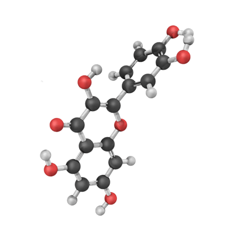 Curcumitol-Q benefits