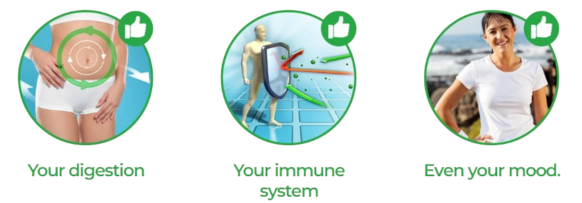 BellyFlush Benefits