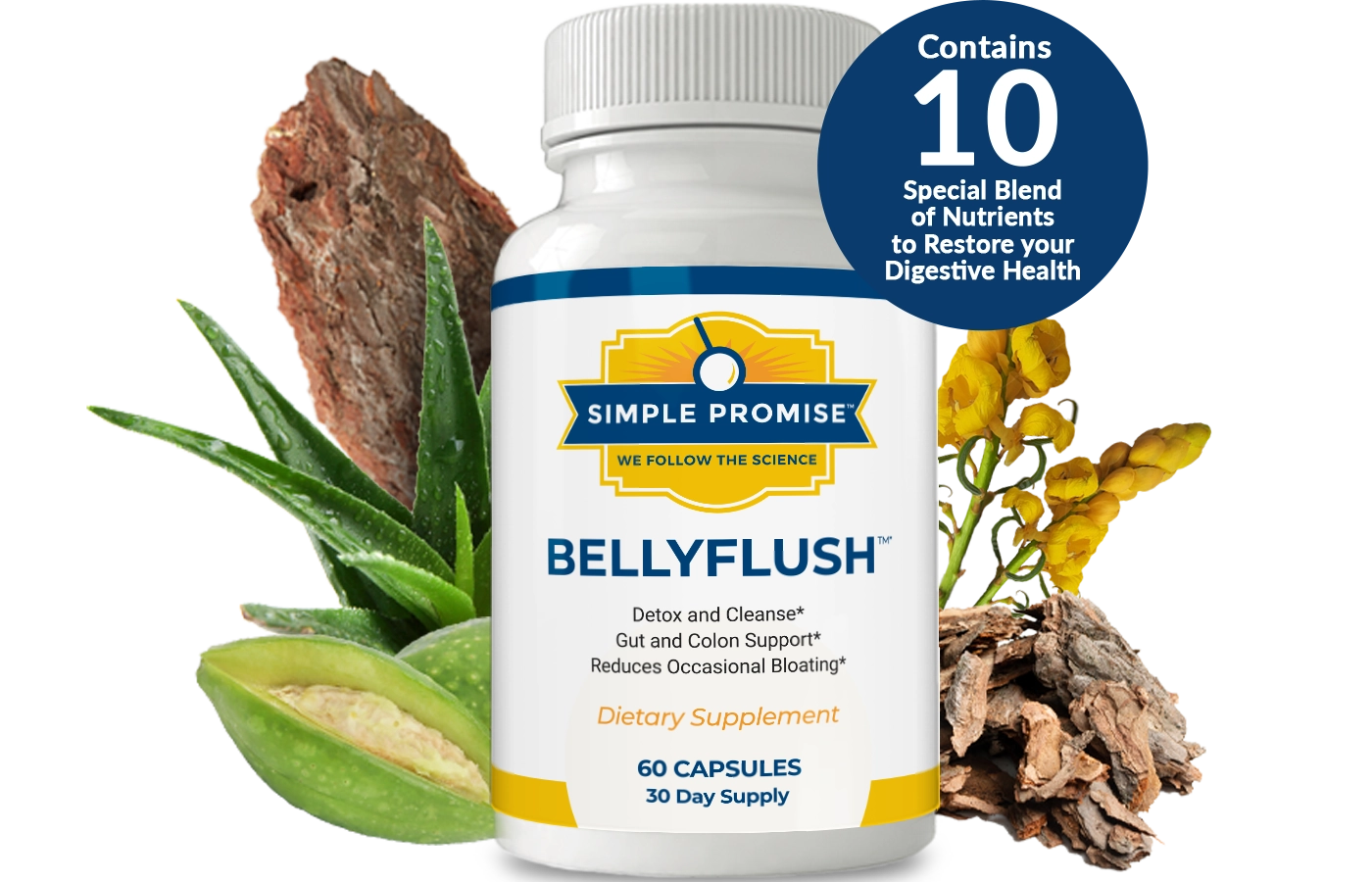 BellyFlush