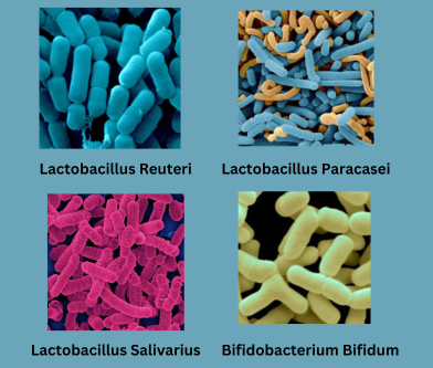 DentPure-Ingredients-