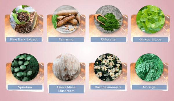 JointVive Ingredients