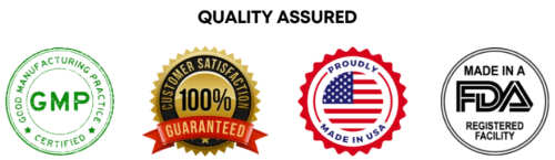 MetaLean Complete Certification
