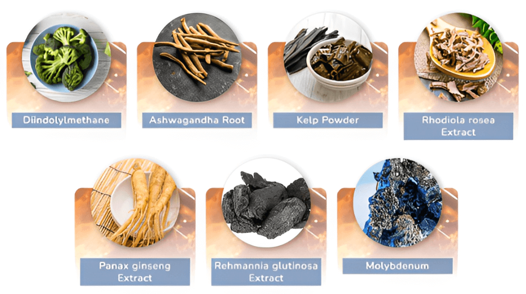 MitoCode Ingredients