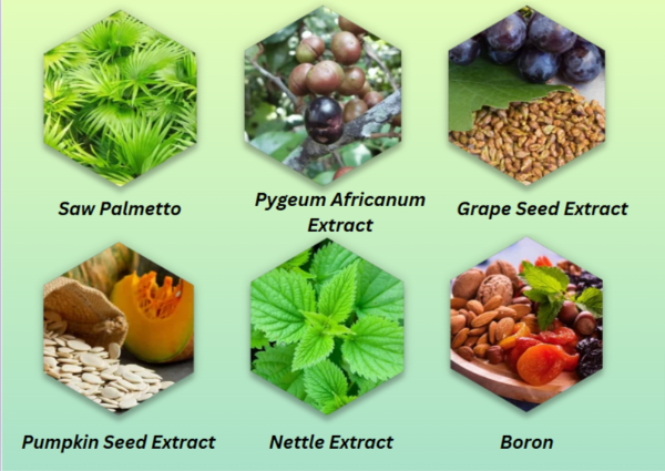 Prostazen Ingredients