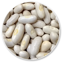 white-kidney-bean (1)